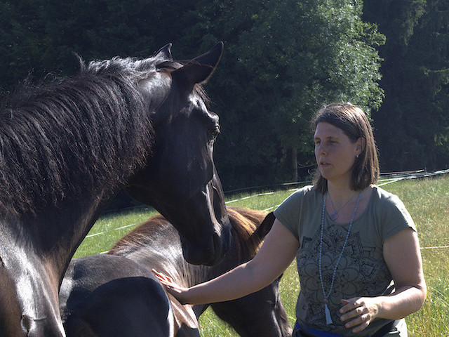 mensch vor pferd