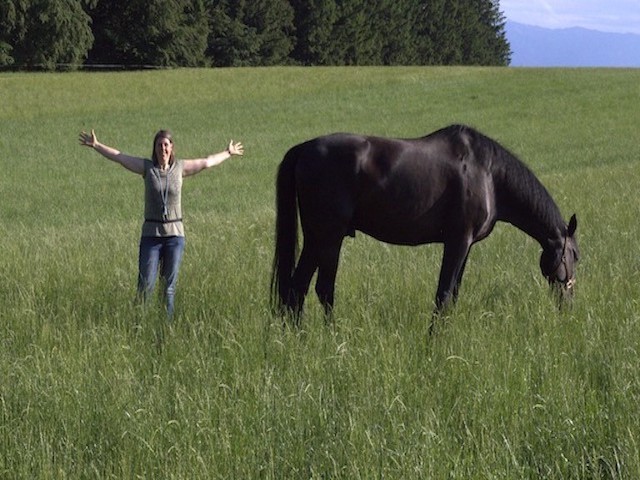 pferd auf weide mensch mit offenen armen Mut Veränderung